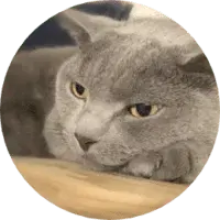 【講師】大久保 錦一