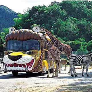 Kiryu, Gunma Main School extracurricular activities