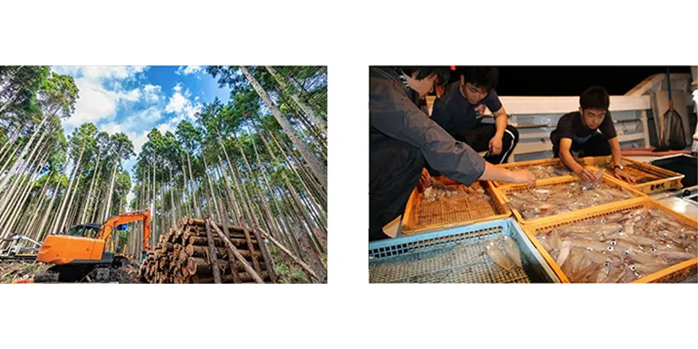 左側は森林伐採の現場で重機と丸太が並ぶ様子、右側は漁船で魚を仕分けしている人々の様子を撮影した画像