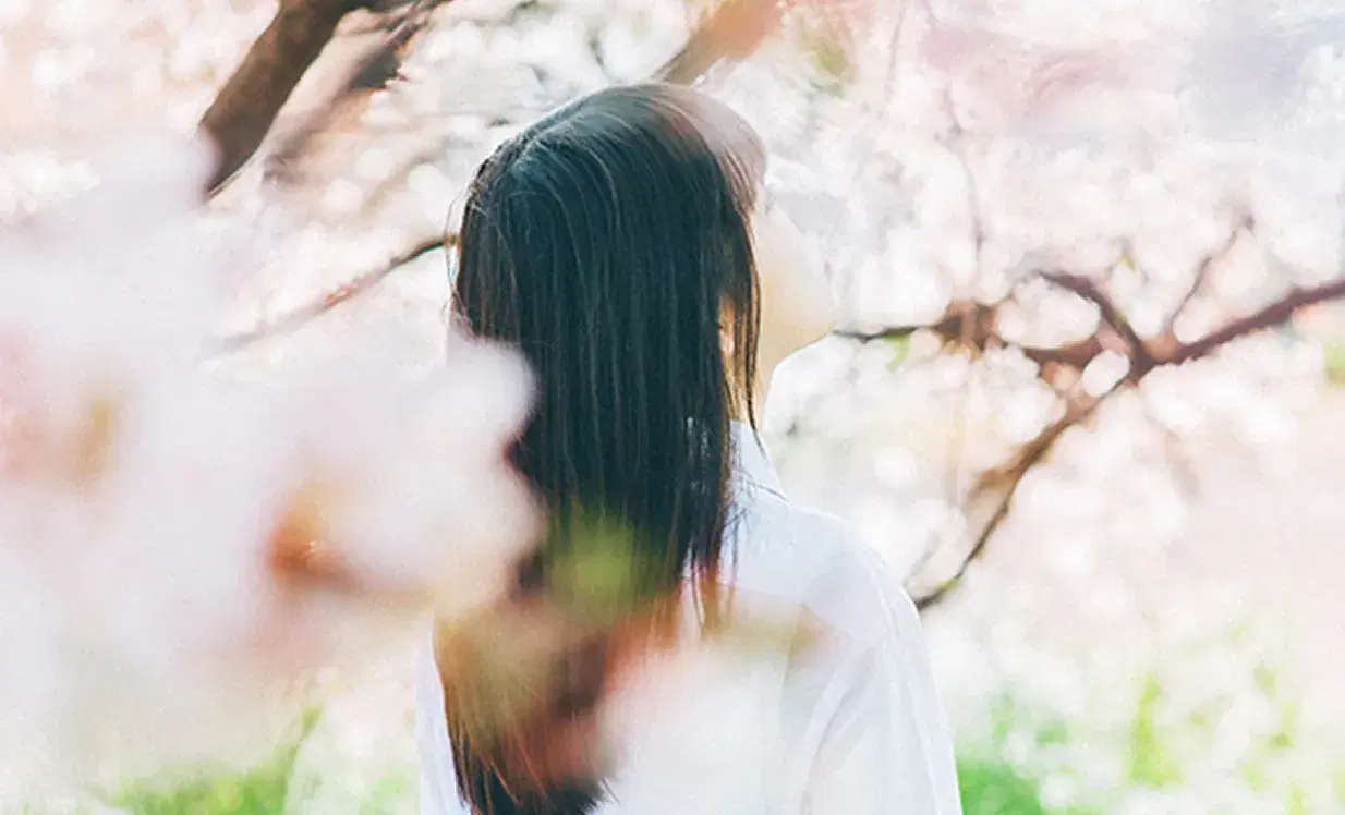 進路実績（進学・就職）のイメージ画像