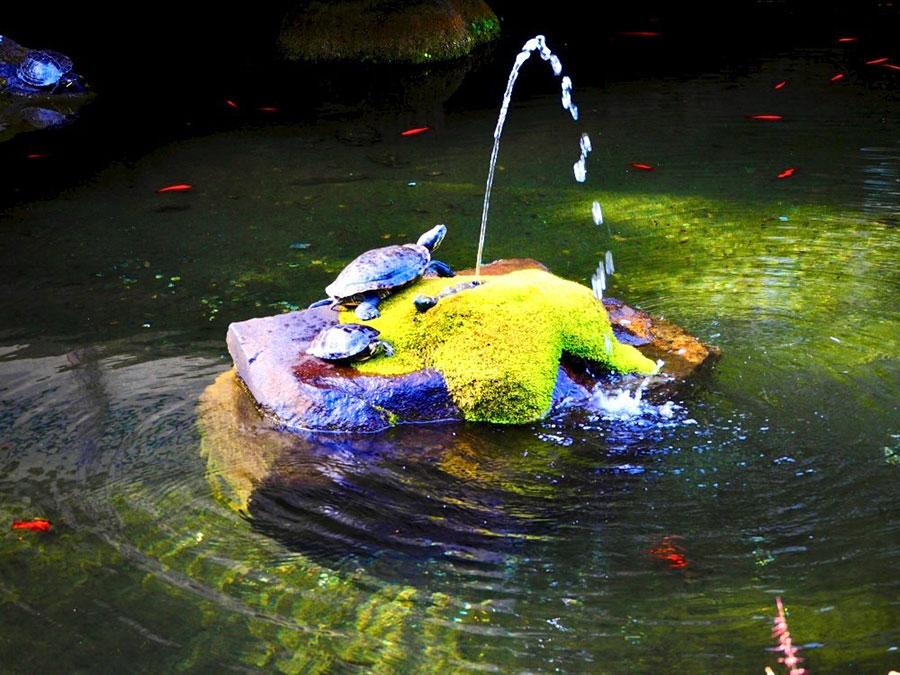 大塚こころさん「第56回　神奈川県美術展　中高生特別企画展」<br />写真部門　入選