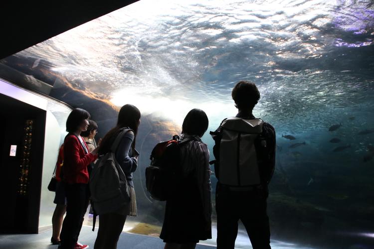 初めての校外学習　新江ノ島水族館へのサムネイル