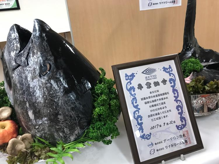全国的にも注目な関西の2大学オープンキャンパスツアー（後編）のサムネイル