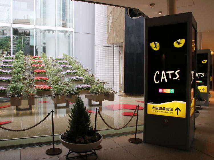 劇団四季 ミュージカル「CATS」に学ぶ観劇の世界のサムネイル