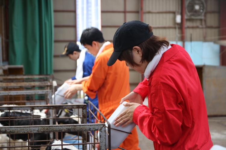 【職業体験】”酪農で世界を変える” 北海道稚内市で「酪農」を学ぶ（前編）のサムネイル