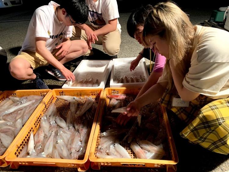 【職業体験】偉大な自然を感じながら、イカ釣り漁に挑戦！（前編）のサムネイル