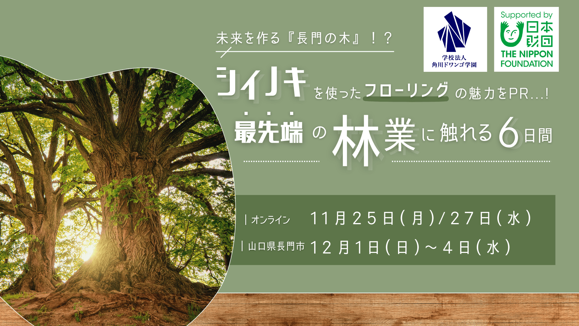 【山口】N/S高生が長門市で最先端の林業を体験! <br> シイノキを活用したフローリング材の魅力を伝え <br> ブランド価値を伝える販促物を制作