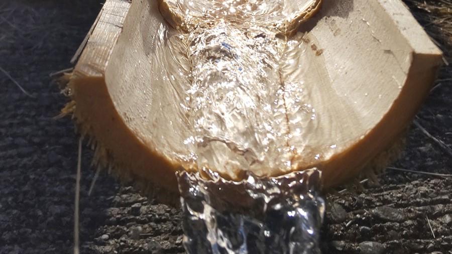 【同好会】流しそうめん同好会、そうめん流しました!