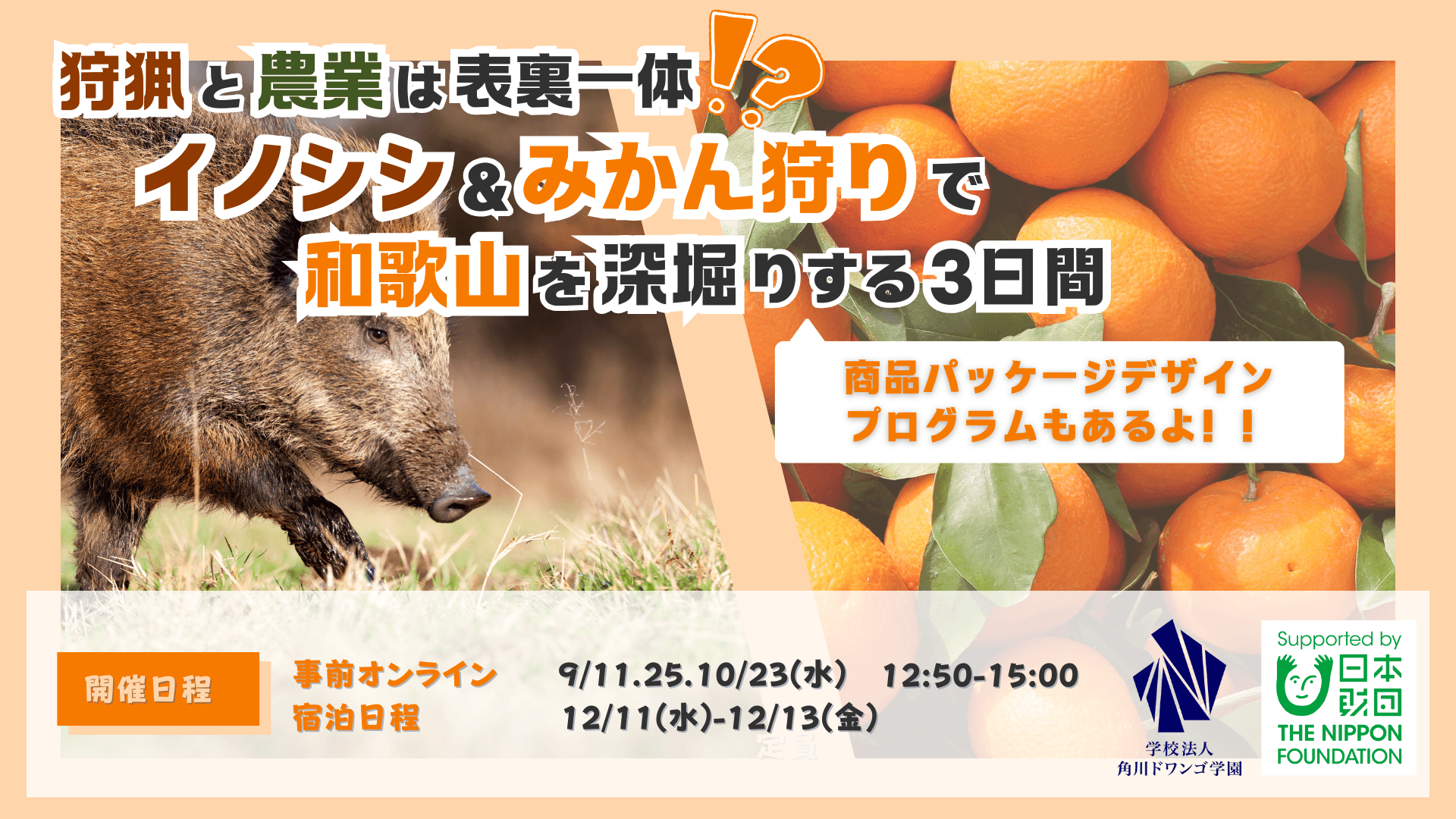 【和歌山】有田市でN/S高生がイノシシ狩猟や <br>みかん農園見学を通じて狩猟と農業の繋がりを学ぶ